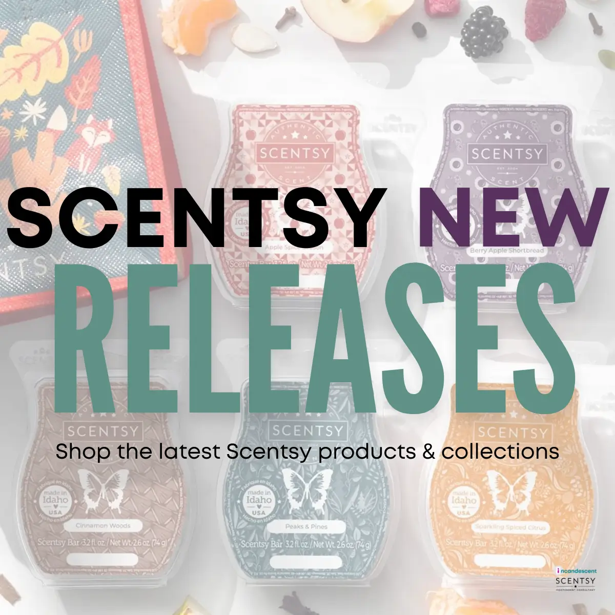 Scentsy New Release Products