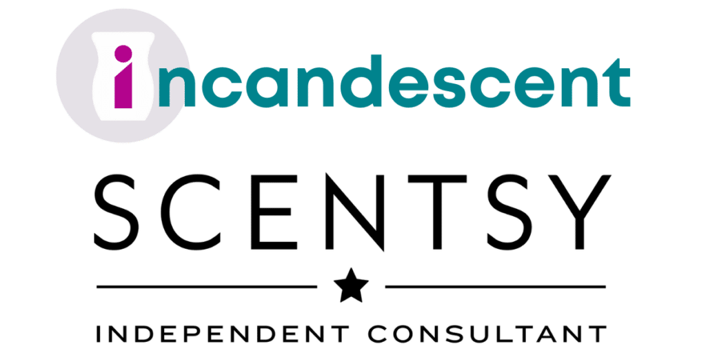 Warner Bros. Christmas Movie Scentsy Warmer Collection National