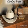 Country Born Cowboy Hat Scentsy Warmer Bundle