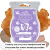 Coastal Sunset Scentsy Bar
