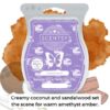 Creamy coconut and sandalwood set the scene for warm amethyst amber