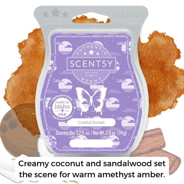 Creamy coconut and sandalwood set the scene for warm amethyst amber