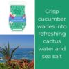 Cucumber & Cactus Water Scentsy Brick