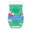 Cucumber & Cactus Water Scentsy Brick