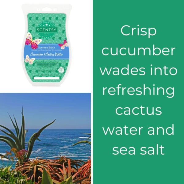 Cucumber Cactus Water Scentsy Brick