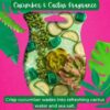 Cucumber & Cactus Water - Scentsy Dahlia Darling Fragrance Flower