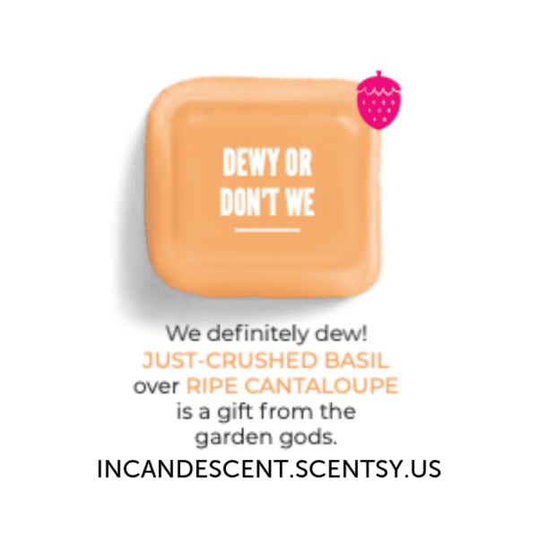 Dewy or Don't We Scentsy Bar