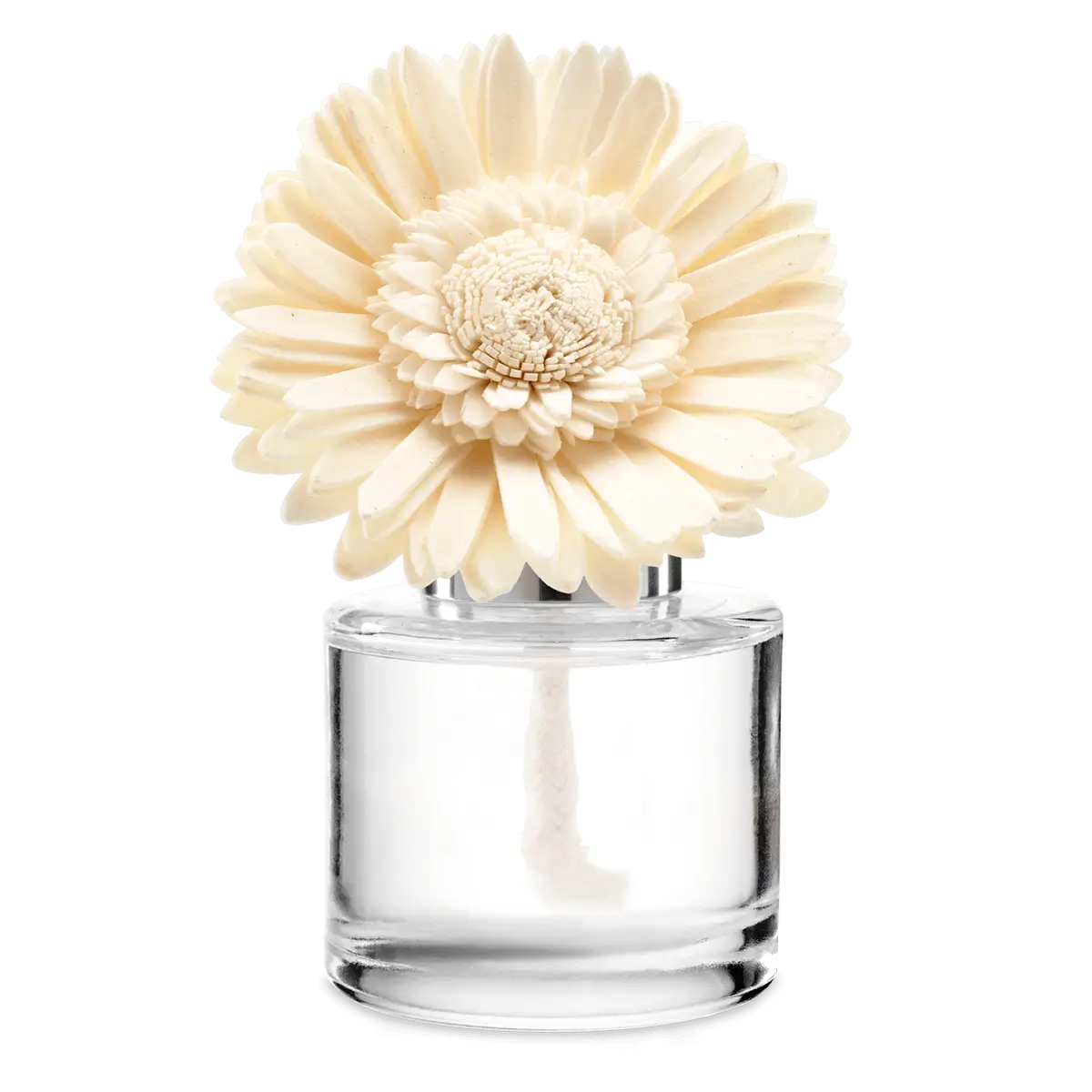 Cranberry Candy Cane Dainty Daisy Scentsy Fragrance Flower Fall 2024