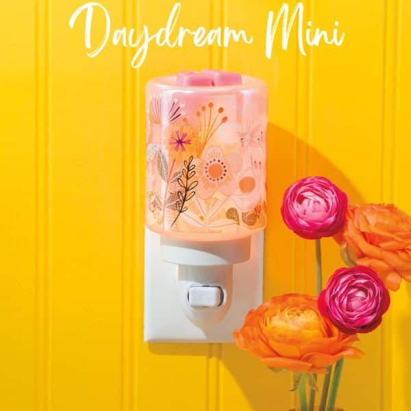 Daydream Mini