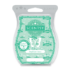 Daydream Oasis Scentsy Bar 1