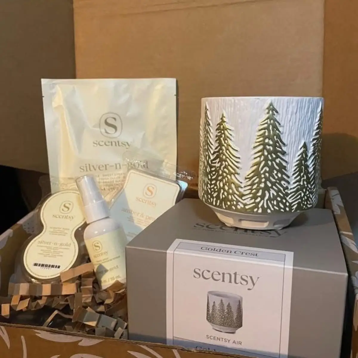 Scentsy Whiff Box December 2025