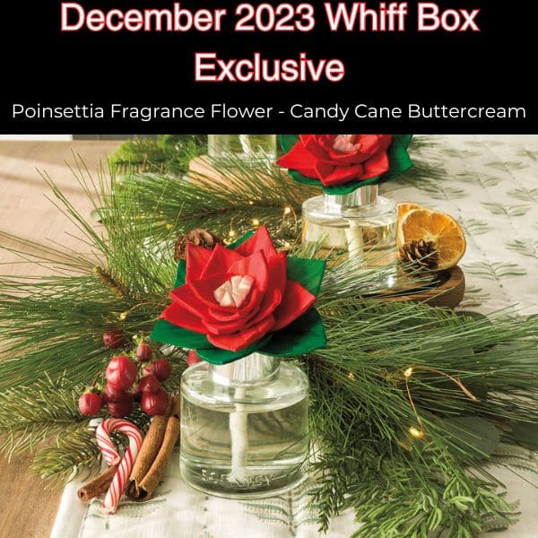 December 2023 Scentsy Whiff Box Spoiler Poinsettia Flower