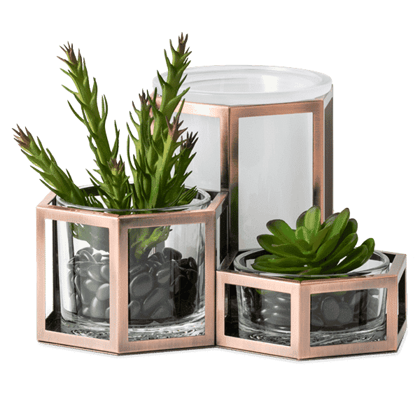 Desert Wild Scensty Warmer no Glow