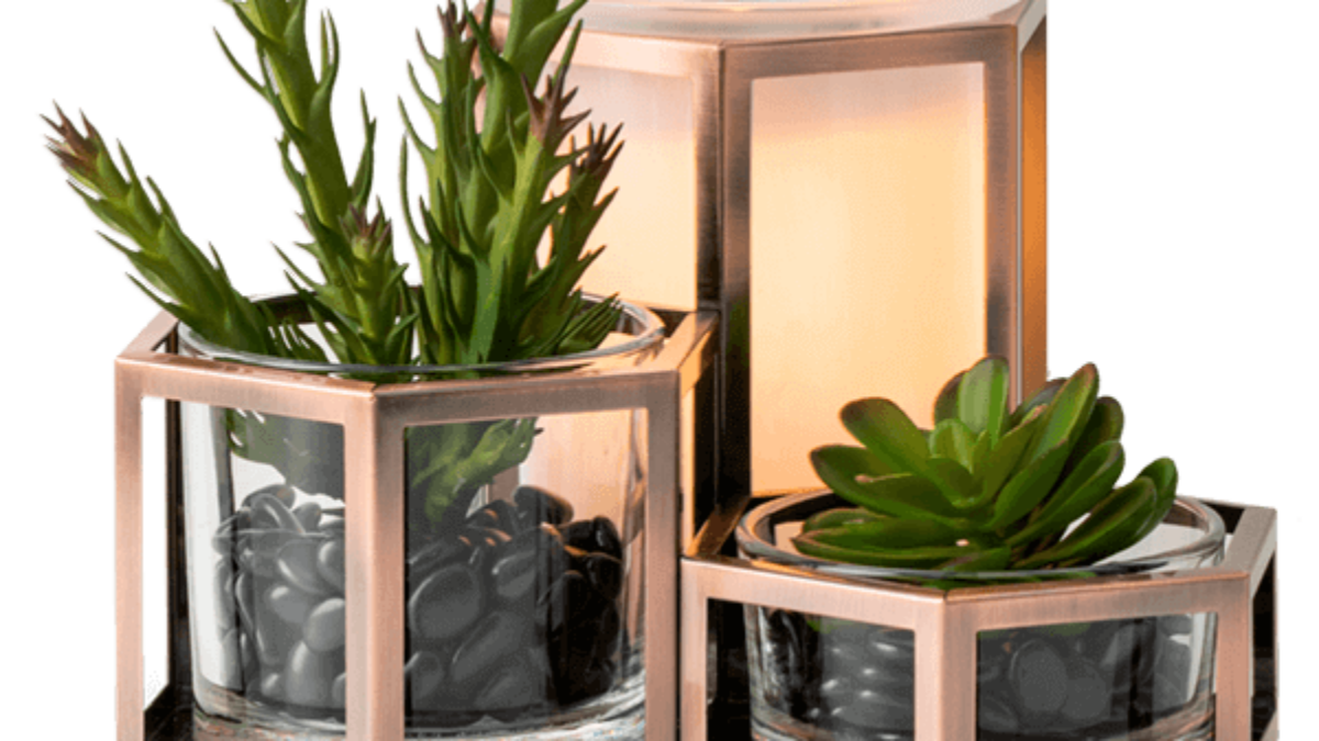 Wild Desert Scentsy Warmer