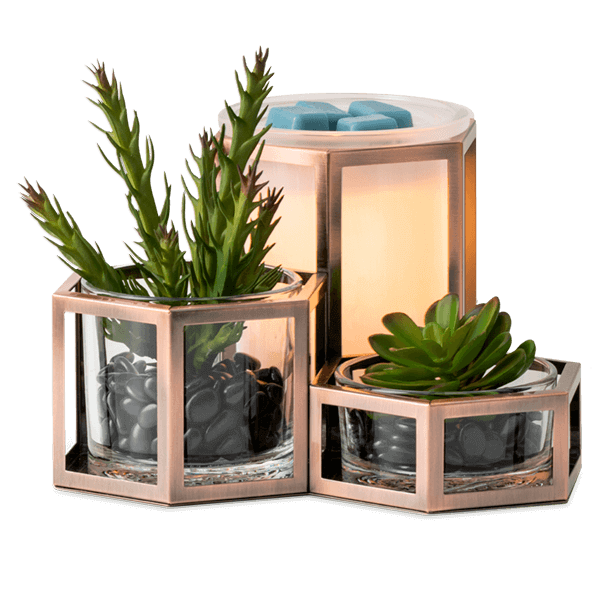 Desert Wild Scentsy Warmer