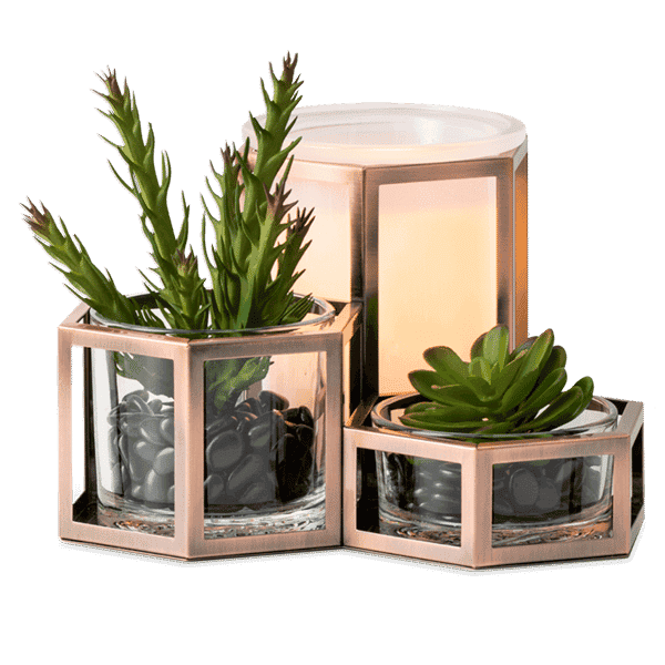 Desert Wild Scentsy Warmer Glow