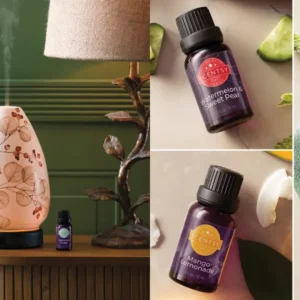 10 Watt Scentsy Light Bulbs - 3 Pack