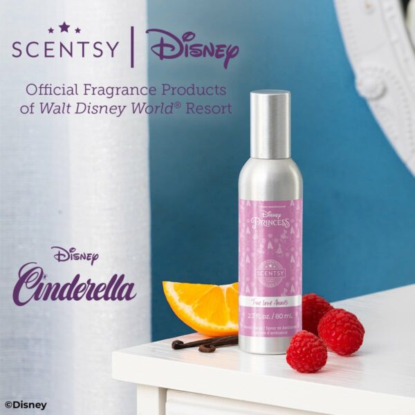 Disney Cinderella Collection 4