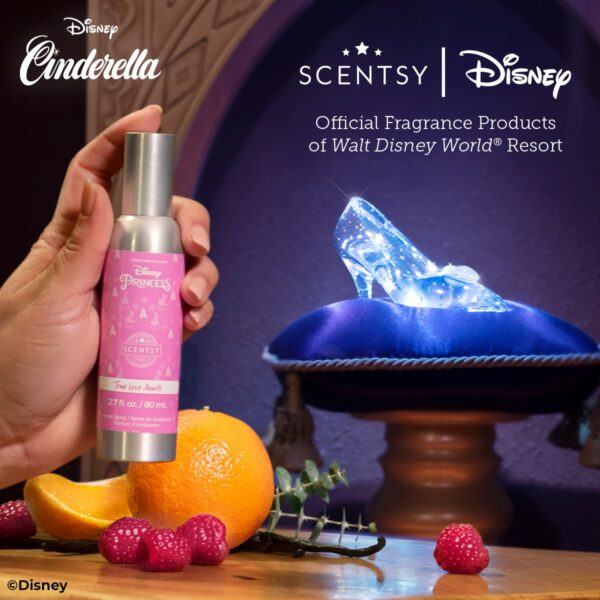 Disney Cinderella Collection 5
