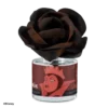 Disney Evil Queen: Just One Bite Wilted Rose Fragrance Flower