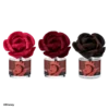 Disney Evil Queen: Just One Bite Wilted Rose Fragrance Flower