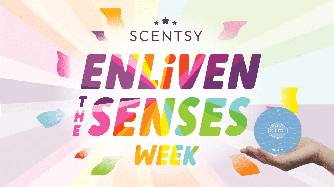 Enliven the Senses Bundles 3