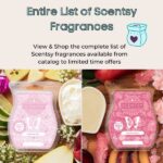 Entire List of Scentsy Fragrances 600 × 600 px