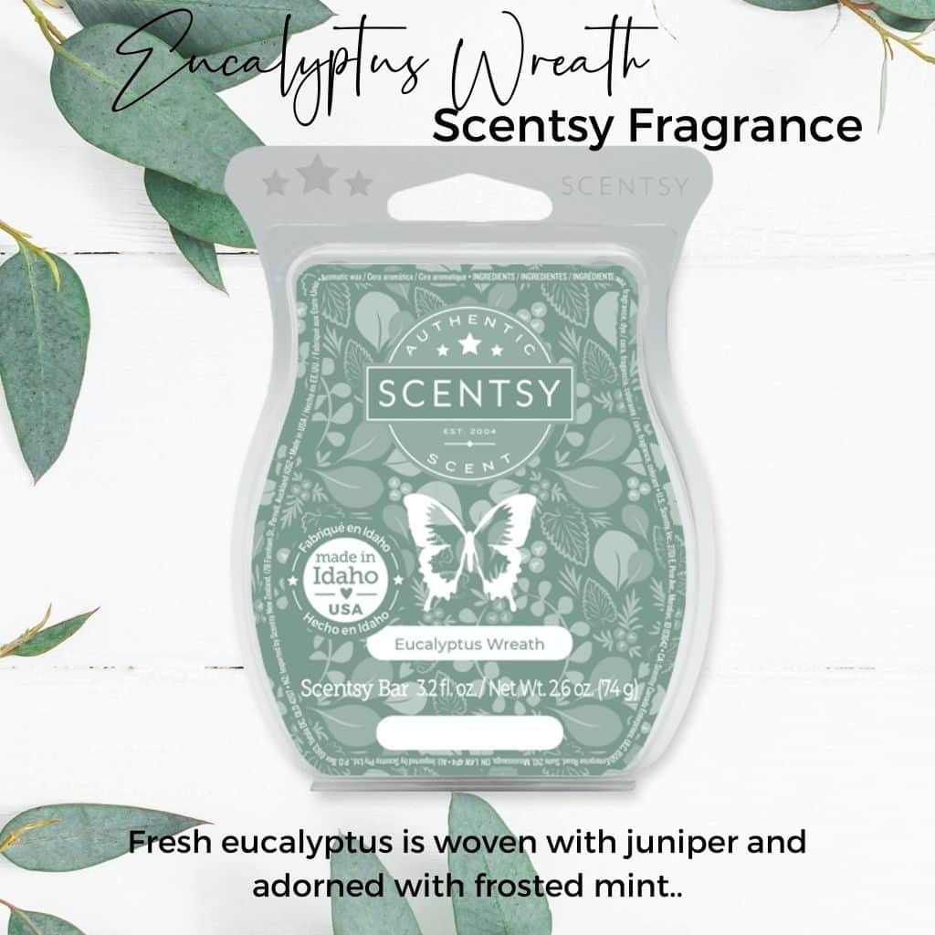 NEW! Eucalyptus Wreath Scentsy Scent Circle Incandescent.Scentsy.us