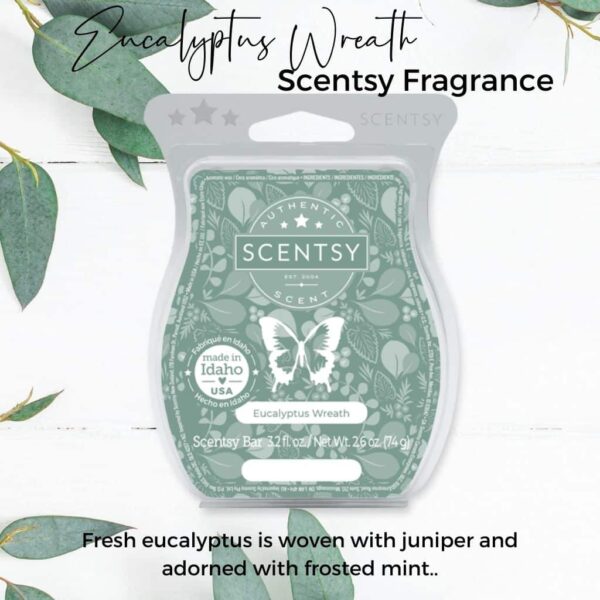 Eucalyptus Wreath Scentsy Fragrance 1