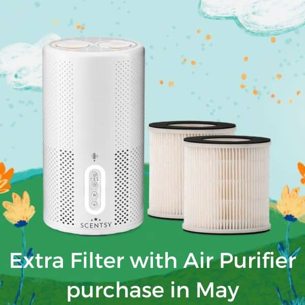 Extra Filter with Air Purifier purchase in May