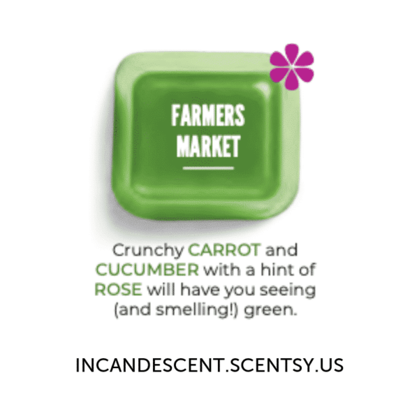 Farmers Market Scentsy Bar | BBMB July 2024