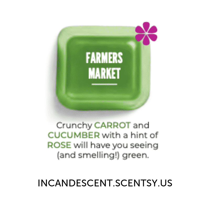 Farmers Market Scentsy Bar