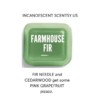 FARMHOUSE FIR SCENTSY SCENT CIRCLE