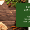 Farmhouse Fir Scentsy Bar