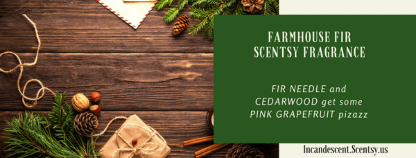 FARMHOUSE FIR SCENTSY SCENT CIRCLE