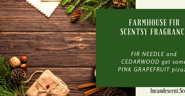 FARMHOUSE FIR SCENTSY SCENT CIRCLE