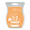 FARMSTAND PUMPKIN SCENTSY BAR | Farmstand Pumpkin Scentsy Bar FARMSTAND PUMPKIN SCENTSY BAR | Farmstand Pumpkin Scentsy Bar