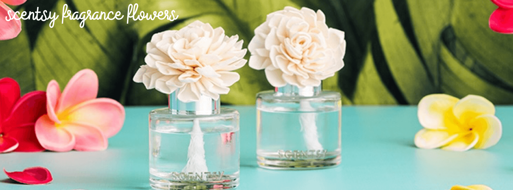 Scentsy Fragrance Flowers | Sola Wood Reed Diffusers