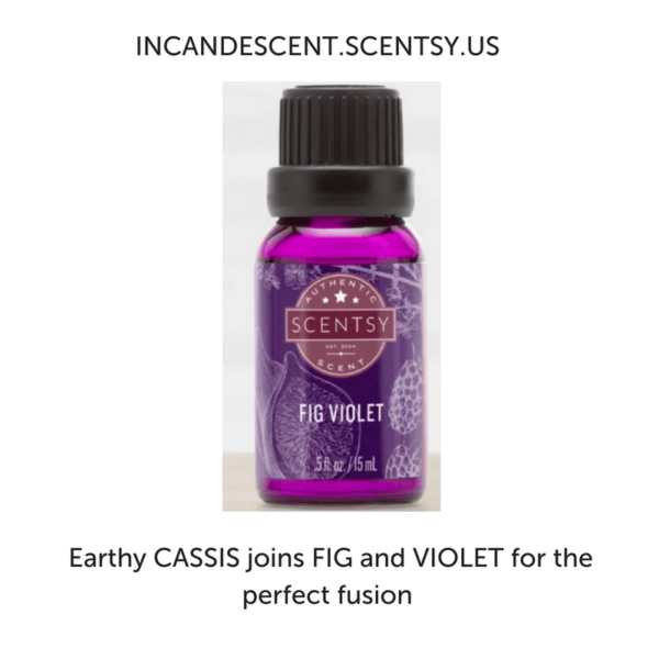 FIG VIOLET SCENTSY NATURAL OIL BLEND