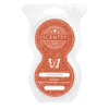 FIRST DAY OF FALL SCENTSY PODS | First Day of Fall Scentsy Pod Beads FIRST DAY OF FALL SCENTSY PODS | First Day of Fall Scentsy Pod Beads