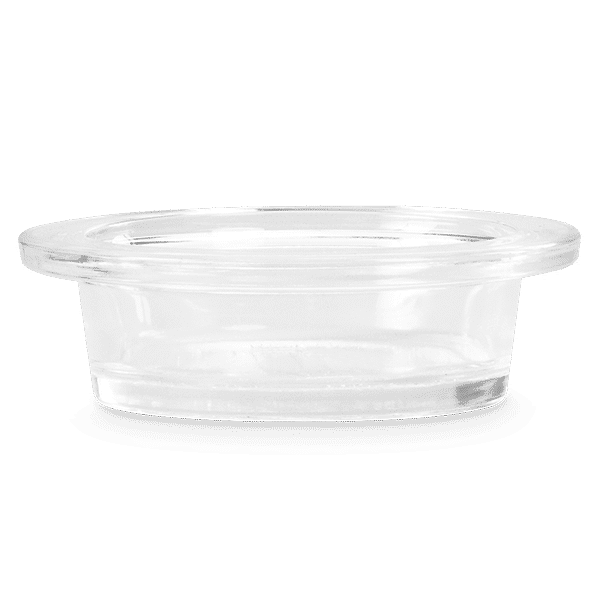 Fly Away Scentsy Warmer Dish ONLY