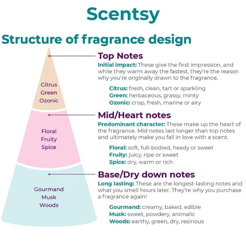 SCENTSY FRAGRANCE STRUCTURE DESIGN