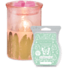 Fabulous Feathers Scentsy Warmer with Wax | NEW! Fabulous Feathers Scentsy Warmer | Shop Scentsy | Incandescent.Scentsy.us Fabulous Feathers Scentsy Warmer with Wax | NEW! Fabulous Feathers Scentsy Warmer | Shop Scentsy | Incandescent.Scentsy.us