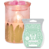 Fabulous Feathers Scentsy Warmer with Wax