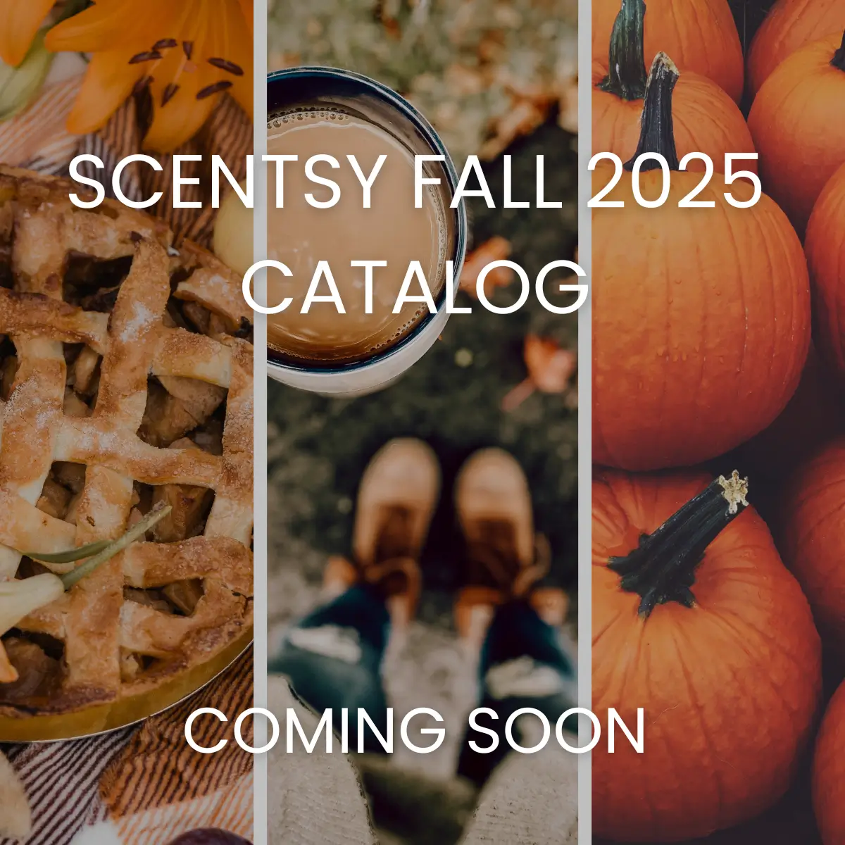 Scentsy 2025 Fall Winter Catalog | Preview Soon