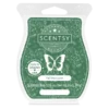Fall into Love Scentsy Bar