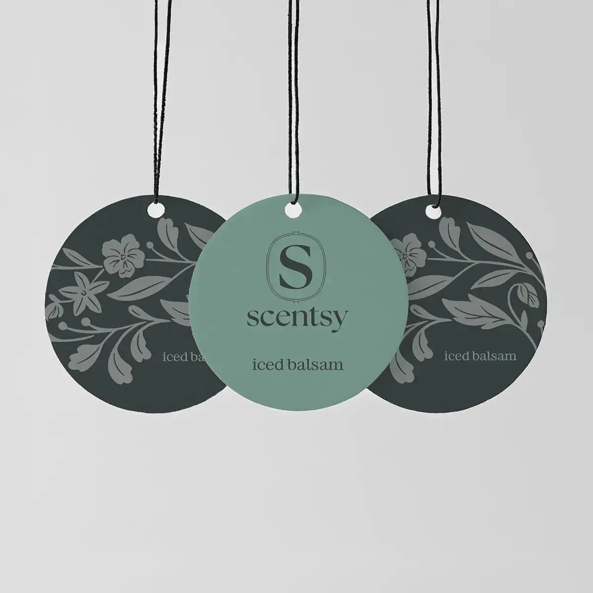 Iced Balsam Scentsy Scent Circle 3 Pack