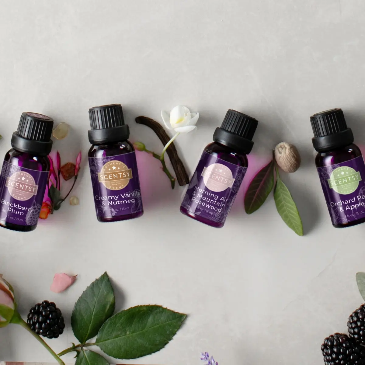 Scentsy Fall Winter Catalog 2024