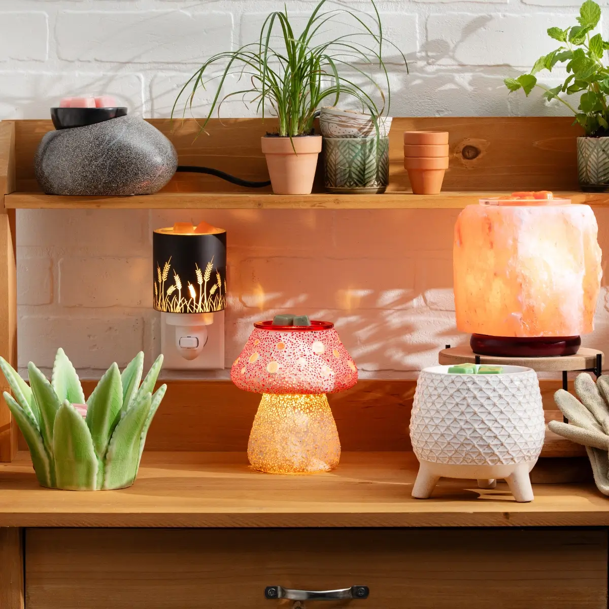 Scentsy Fall Winter Catalog 2024