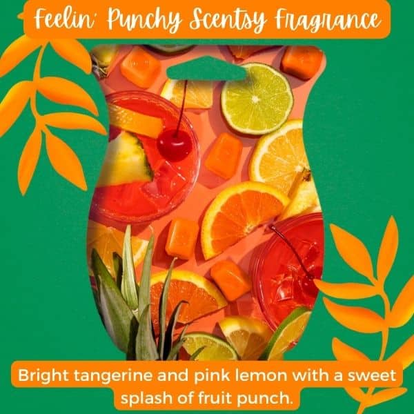 Feelin Punchy Scentsy Fragrance 1